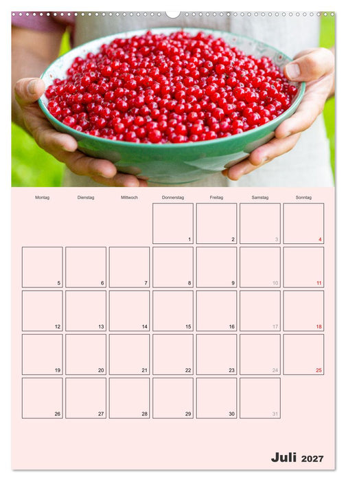 Obst Kalender - GESUND DURCH DAS JAHR (CALVENDO Premium Wandkalender 2027)