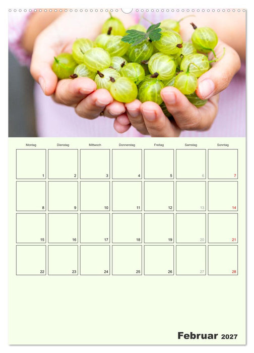 Obst Kalender - GESUND DURCH DAS JAHR (CALVENDO Wandkalender 2027)