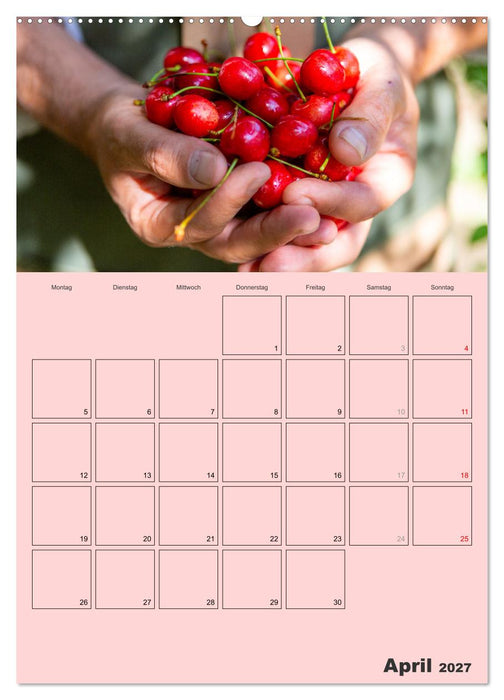 Obst Kalender - GESUND DURCH DAS JAHR (CALVENDO Wandkalender 2027)