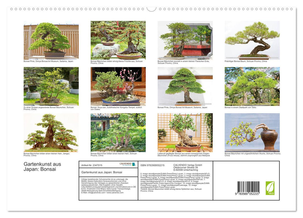 Gartenkunst aus Japan: Bonsai (CALVENDO Premium Wandkalender 2027)