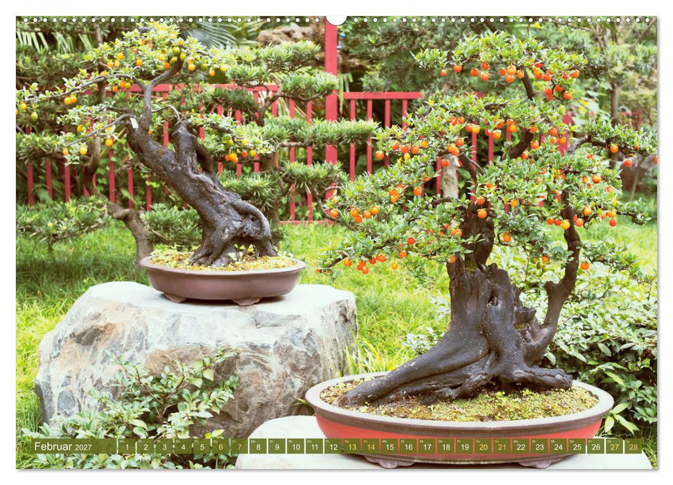 Gartenkunst aus Japan: Bonsai (CALVENDO Premium Wandkalender 2027)
