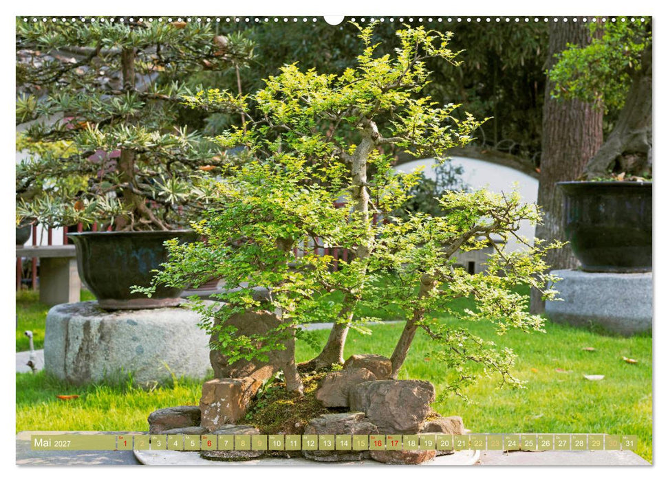 Gartenkunst aus Japan: Bonsai (CALVENDO Premium Wandkalender 2027)