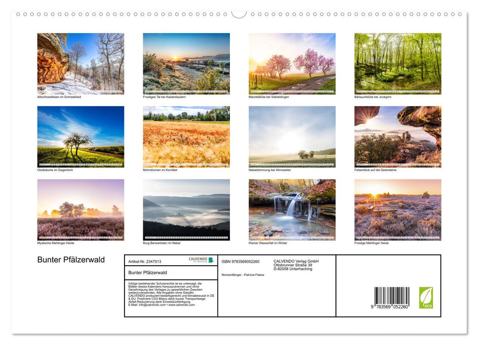 Bunter Pfälzerwald (CALVENDO Premium Wandkalender 2027)