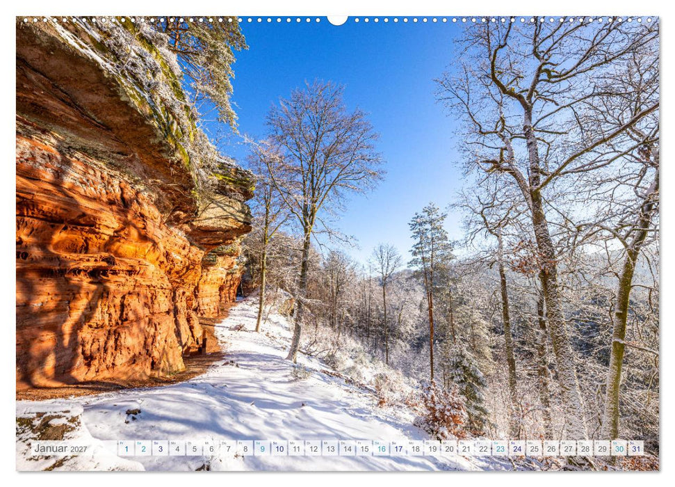 Bunter Pfälzerwald (CALVENDO Premium Wandkalender 2027)