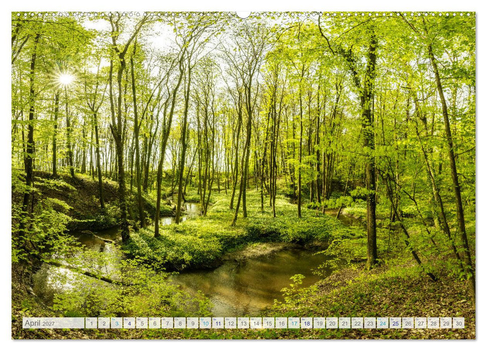 Bunter Pfälzerwald (CALVENDO Premium Wandkalender 2027)