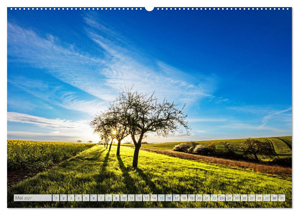 Bunter Pfälzerwald (CALVENDO Premium Wandkalender 2027)