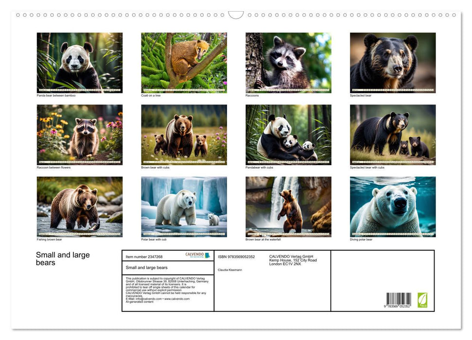 Small and large bears (CALVENDO Monthly Calendar 2027)