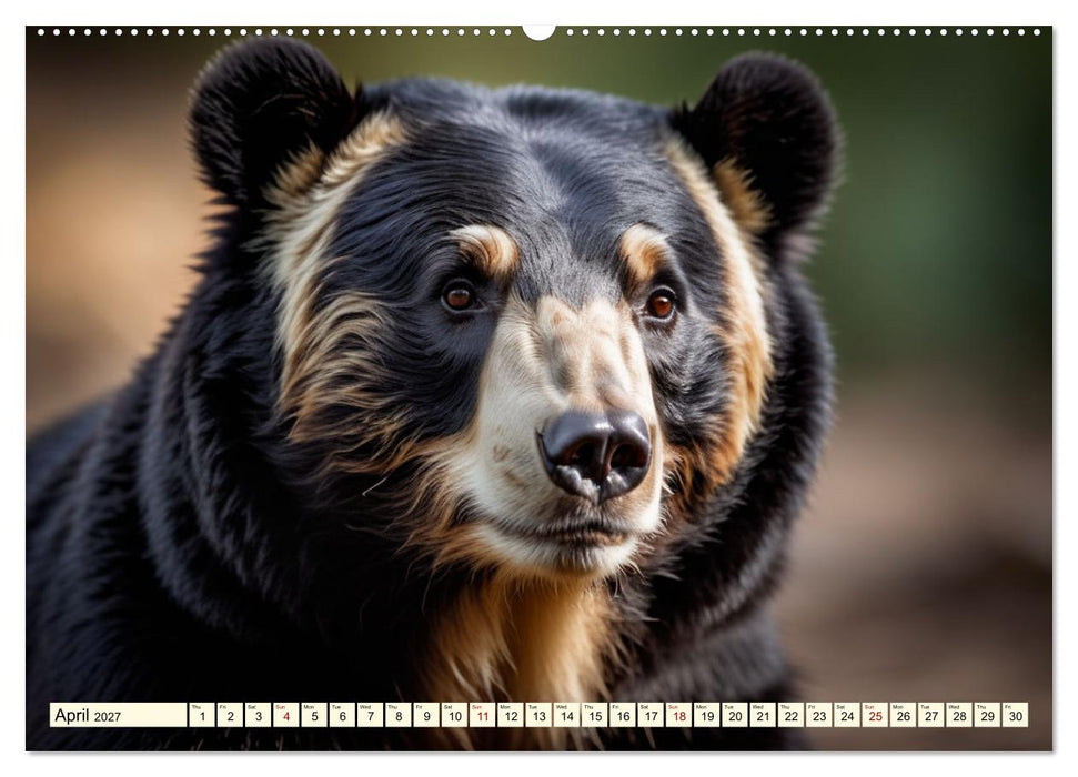 Small and large bears (CALVENDO Monthly Calendar 2027)