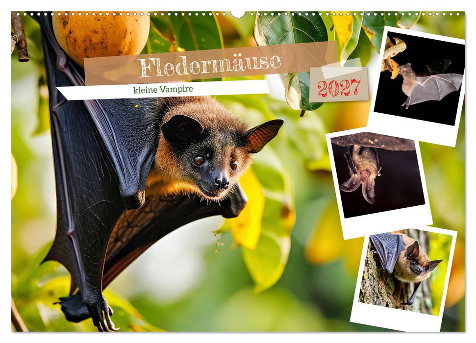Fledermäuse - kleine Vampire (CALVENDO Wandkalender 2027)