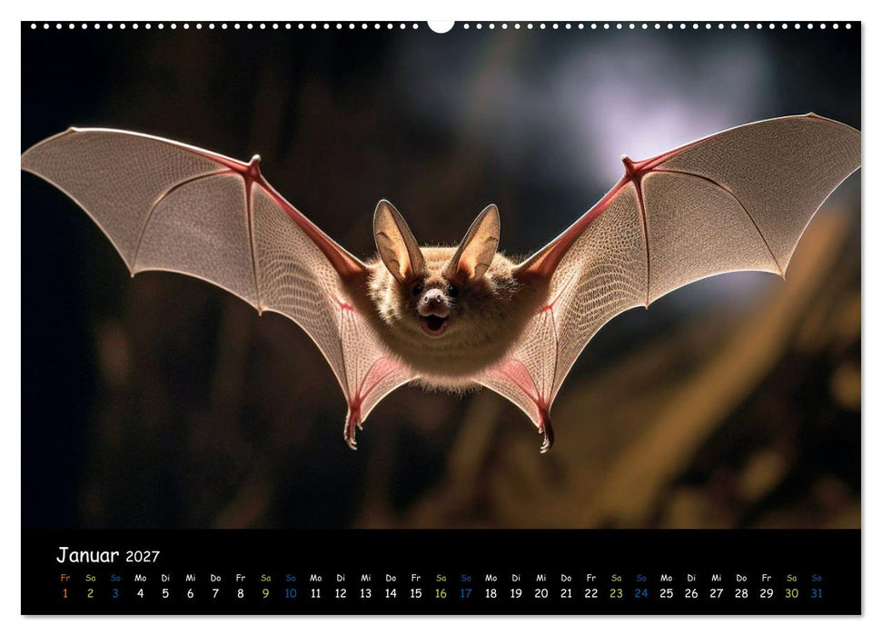 Fledermäuse - kleine Vampire (CALVENDO Wandkalender 2027)