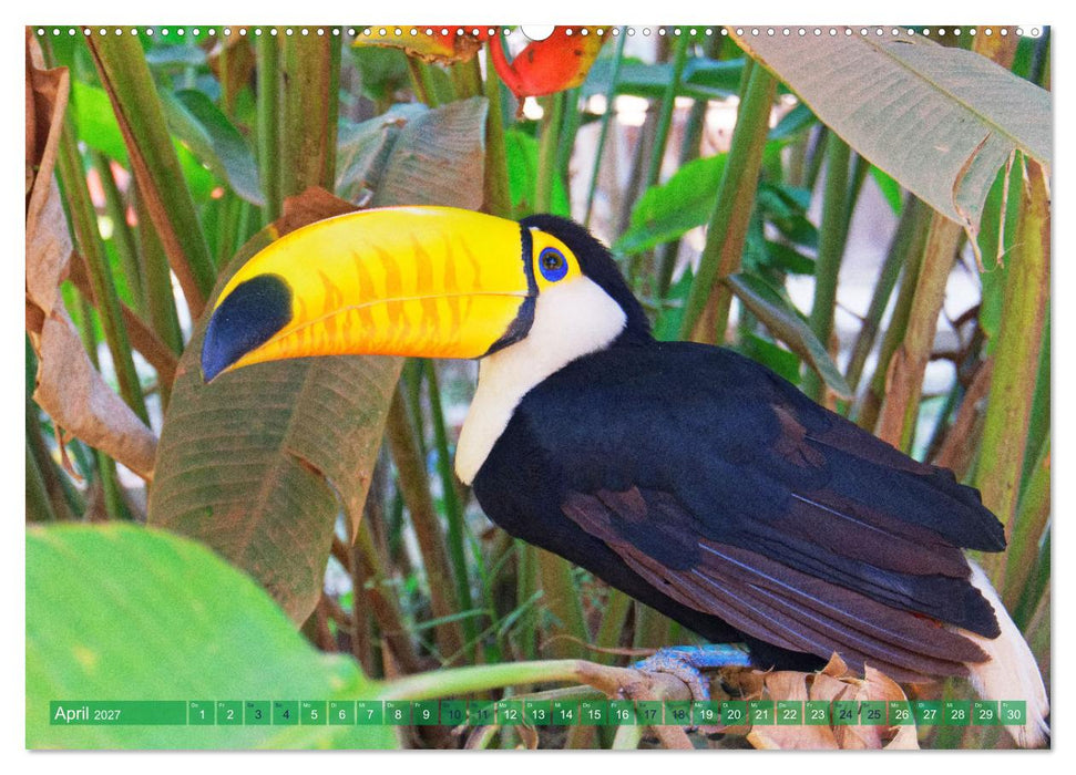 Entdecke Bolivien (CALVENDO Wandkalender 2027)
