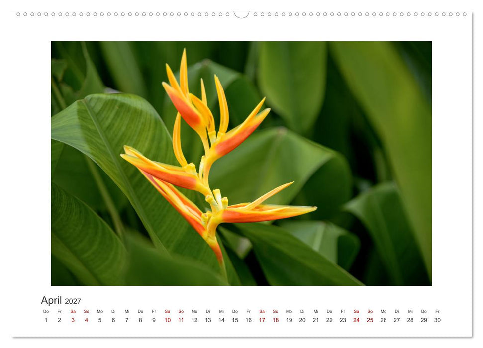 Seychellen - unterwegs mit Julia Hahn (CALVENDO Wandkalender 2027)