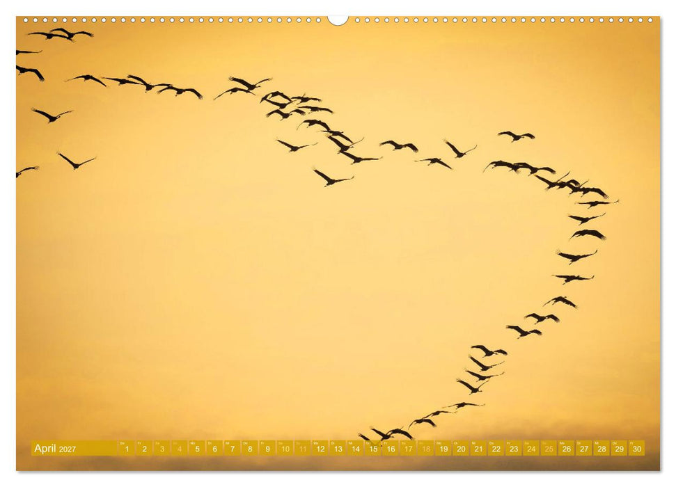 Farben und Muster der Erde (CALVENDO Premium Wandkalender 2027)