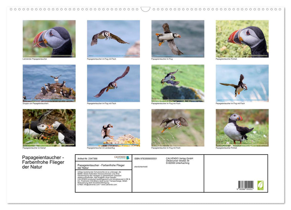 Papageientaucher - Farbenfrohe Flieger der Natur (CALVENDO Wandkalender 2027)