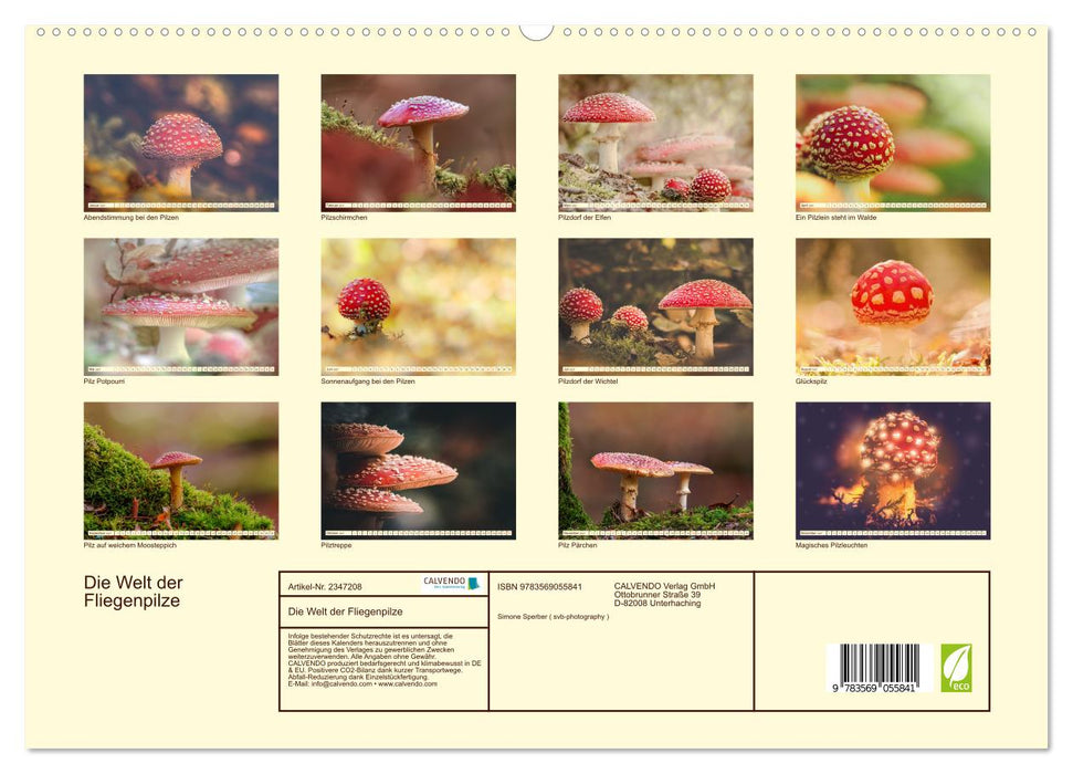 Die Welt der Fliegenpilze (CALVENDO Premium Wandkalender 2027)