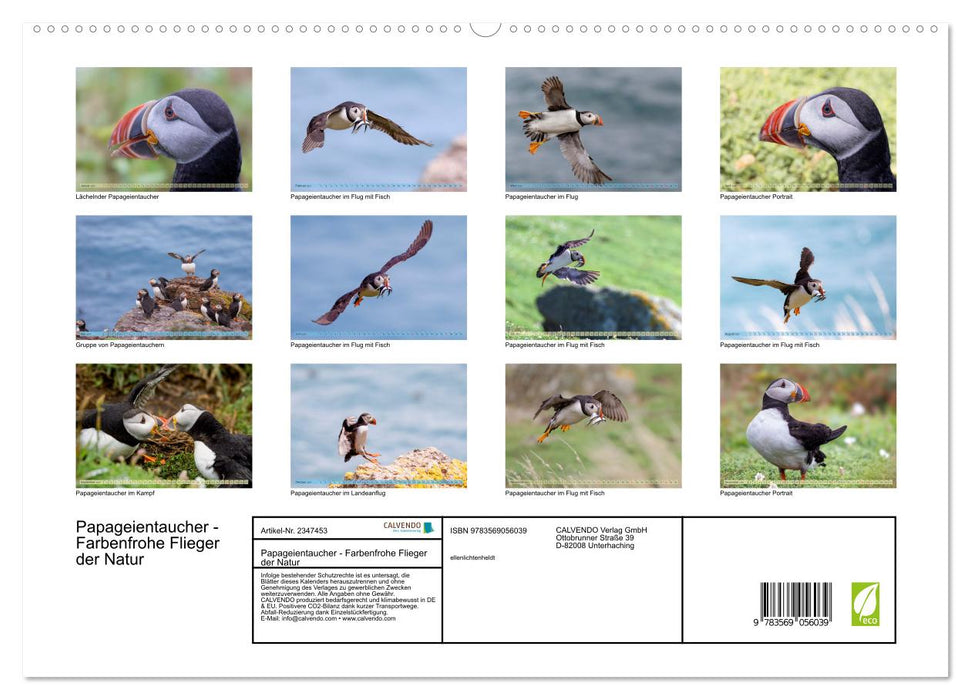 Papageientaucher - Farbenfrohe Flieger der Natur (CALVENDO Premium Wandkalender 2027)