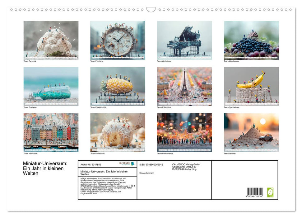 Miniatur-Universum: Ein Jahr in kleinen Welten (CALVENDO Wandkalender 2027)