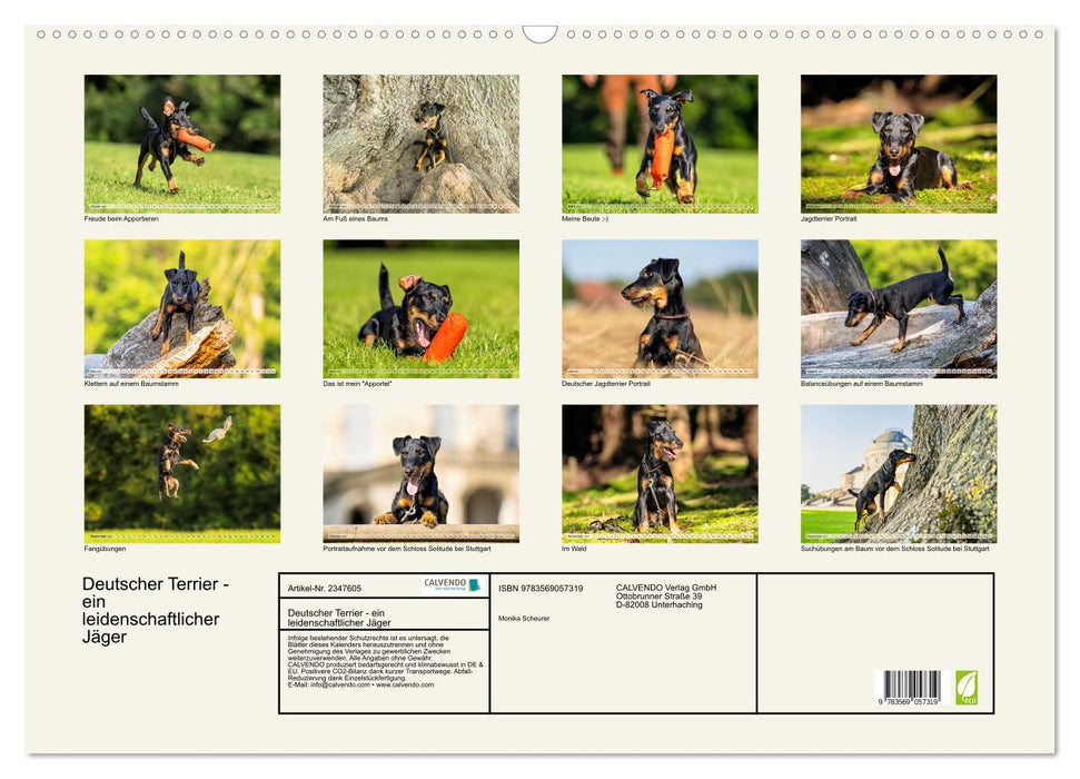 Deutscher Terrier - ein leidenschaftlicher Jäger (CALVENDO Wandkalender 2027)