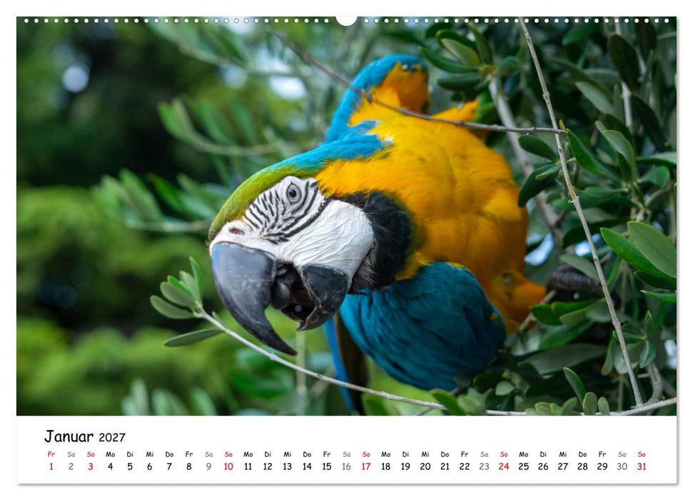 Nago-Torbole, der schöne Norden vom Gardasee (CALVENDO Wandkalender 2027)