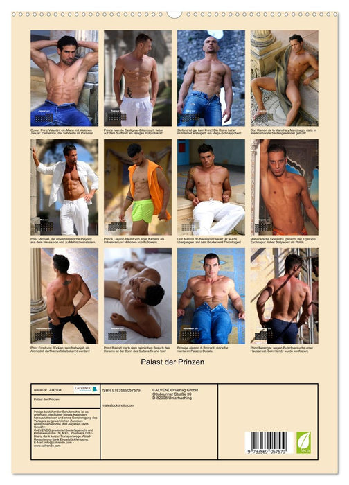 Palast der Prinzen (CALVENDO Premium Wandkalender 2027)