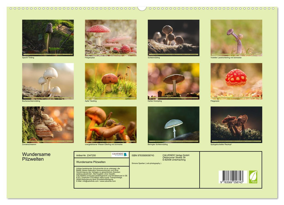 Wundersame Pilzwelten (CALVENDO Premium Wandkalender 2027)