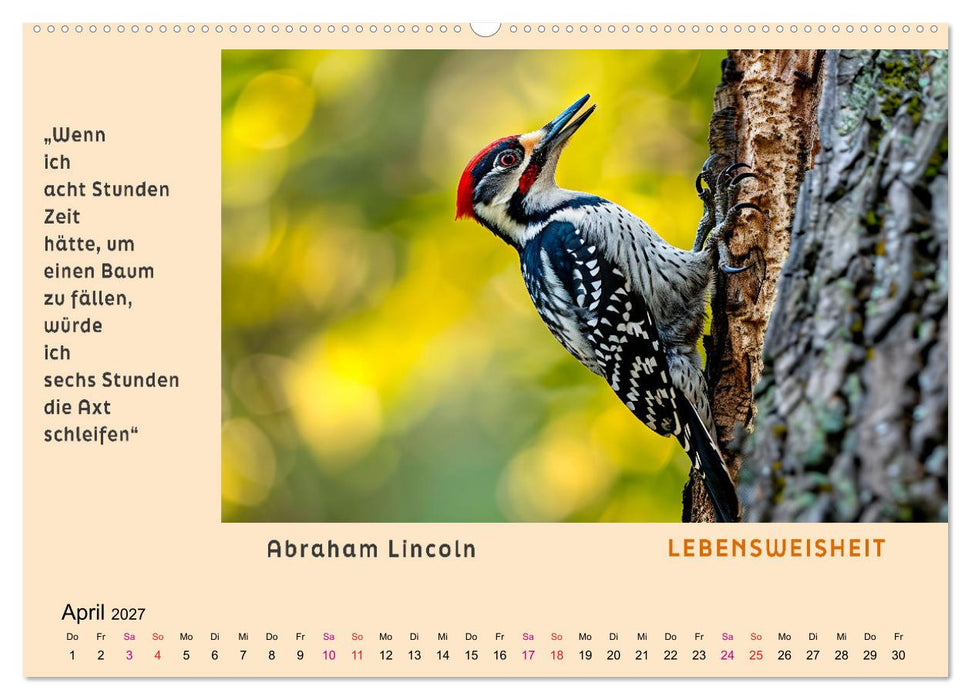 Pfiffig und weise (CALVENDO Premium Wandkalender 2027)