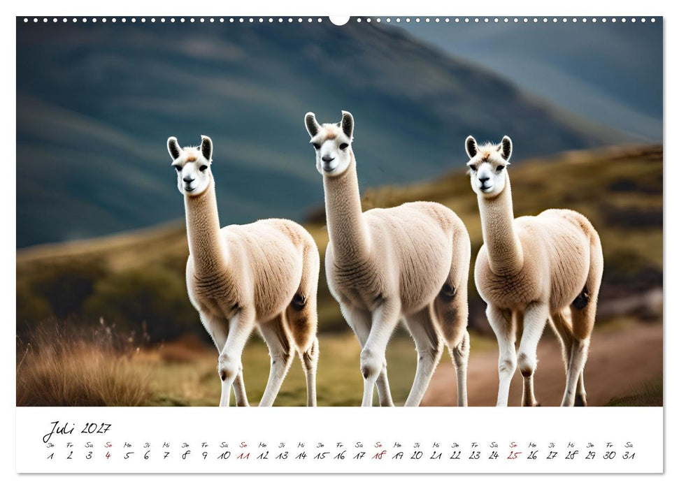 Alpakas, die sanften Andenbewohner (CALVENDO Premium Wandkalender 2027)