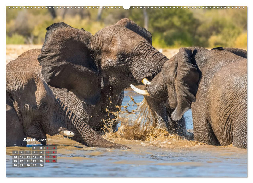 Action in der Savanne (CALVENDO Premium Wandkalender 2027)