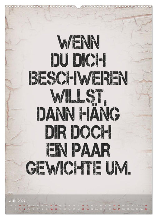 Ziemlich schlecht gelaunt (CALVENDO Premium Wandkalender 2027)