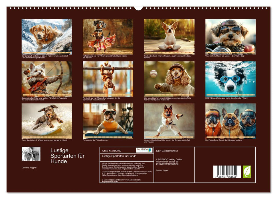 Lustige Sportarten für Hunde (CALVENDO Premium Wandkalender 2027)