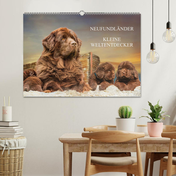 Neufundländer - Kleine Weltentdecker (CALVENDO Wandkalender 2027)