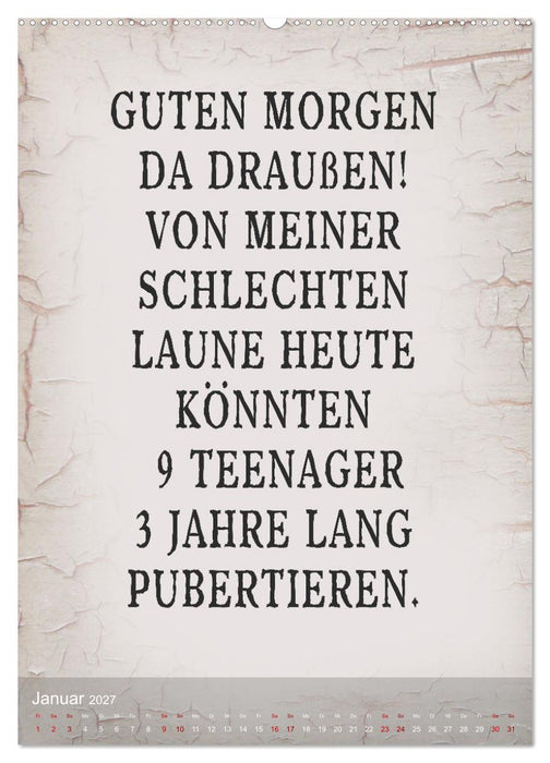 Ziemlich schlecht gelaunt (CALVENDO Wandkalender 2027)