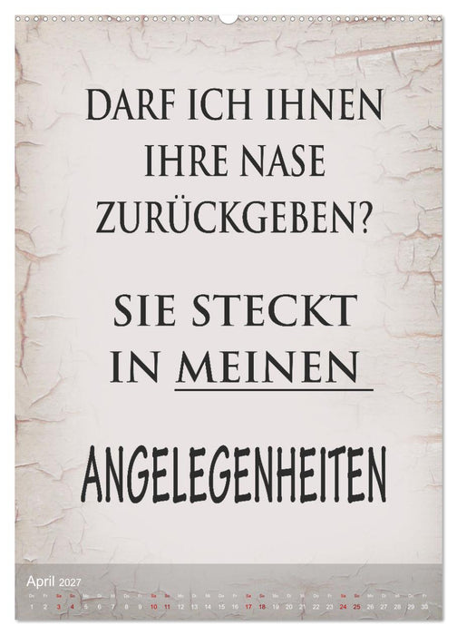 Ziemlich schlecht gelaunt (CALVENDO Wandkalender 2027)