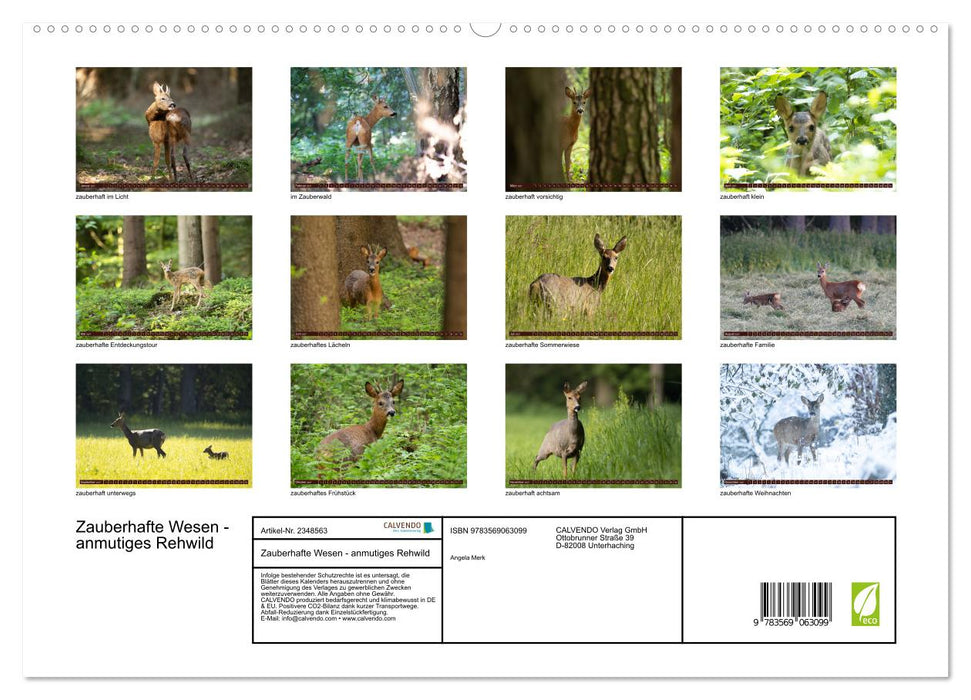 Zauberhafte Wesen - anmutiges Rehwild (CALVENDO Premium Wandkalender 2027)