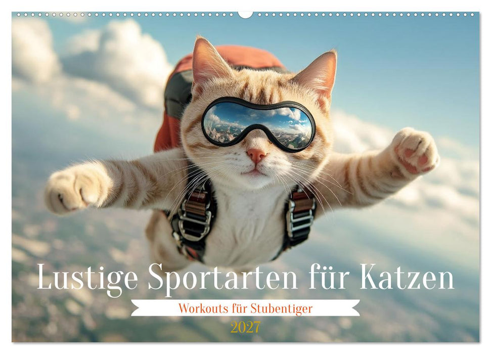 Lustige Sportarten für Katzen (CALVENDO Wandkalender 2027)