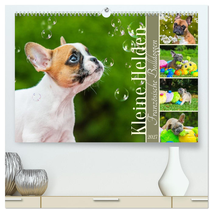 Kleine Helden - Französische Bulldoggen (CALVENDO Premium Wandkalender 2027)