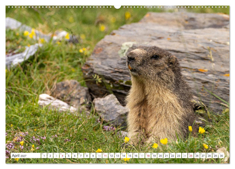 Frankreich - die Pyrenäen (CALVENDO Premium Wandkalender 2027)