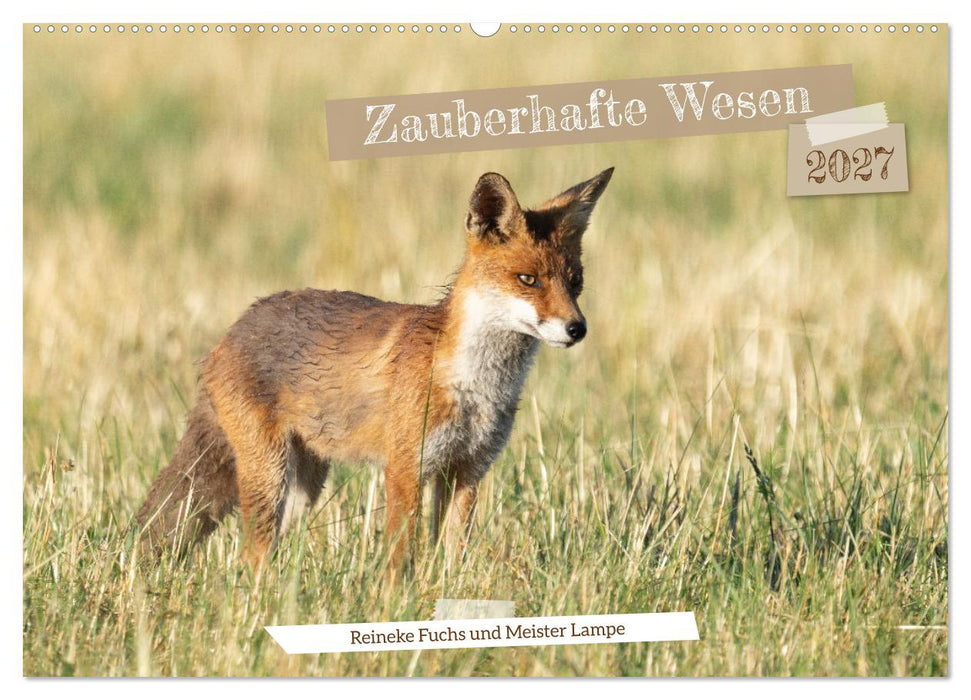 Zauberhafte Wesen - Reineke Fuchs und Meister Lampe (CALVENDO Wandkalender 2027)