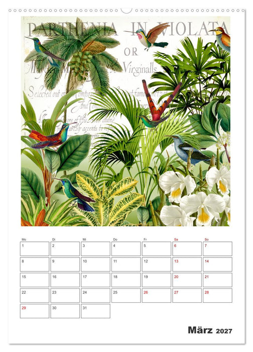 Das Paradies der Kolibris (CALVENDO Premium Wandkalender 2027)
