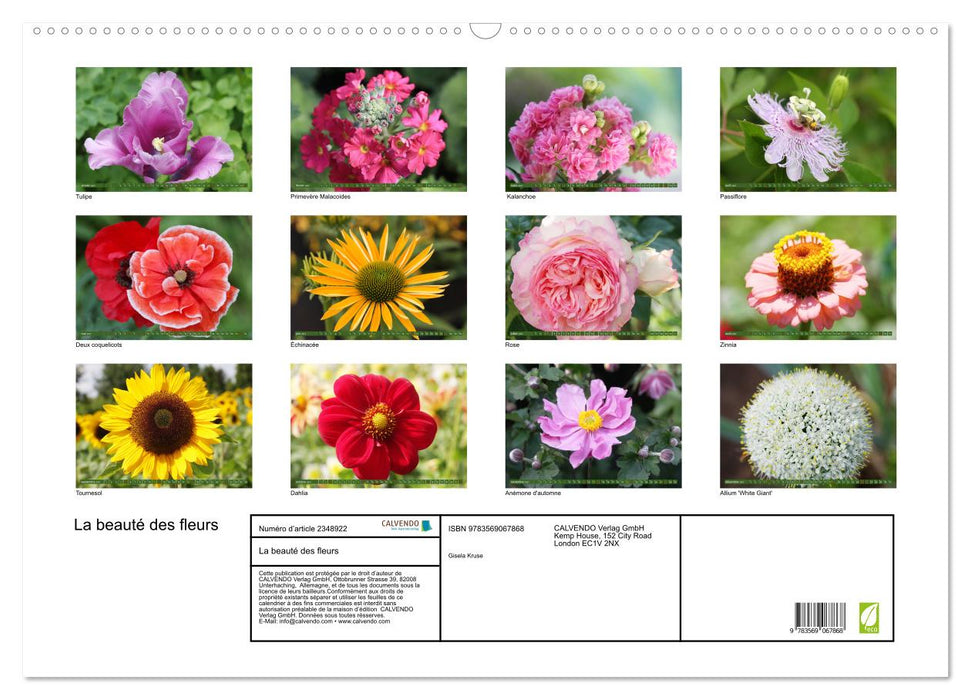 La beauté des fleurs (CALVENDO Calendrier mensuel 2027)