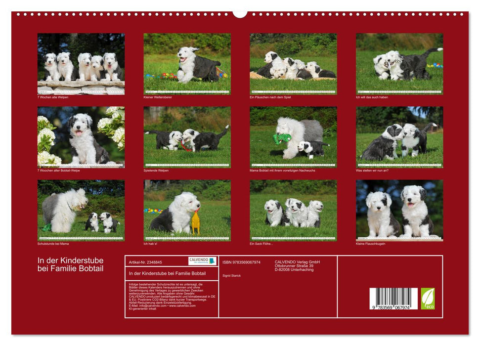 In der Kinderstube bei Familie Bobtail (CALVENDO Premium Wandkalender 2027)