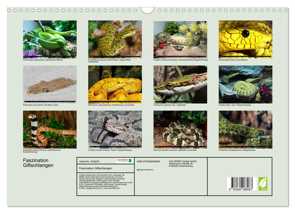 Faszination Giftschlangen (CALVENDO Wandkalender 2027)