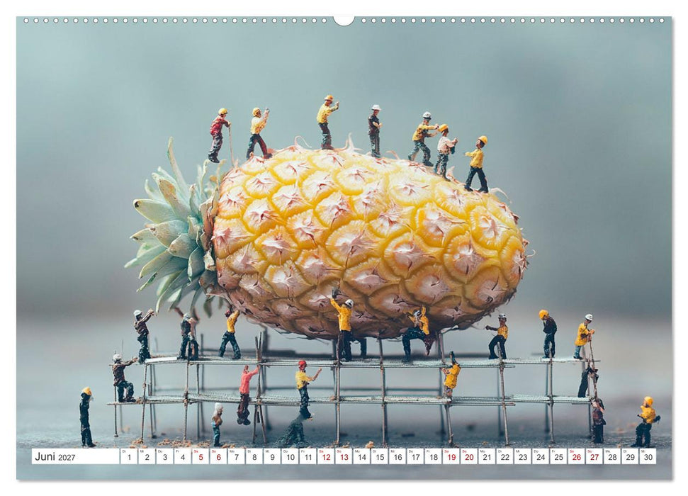 Miniatur-Universum: Ein Jahr in kleinen Welten (CALVENDO Premium Wandkalender 2027)
