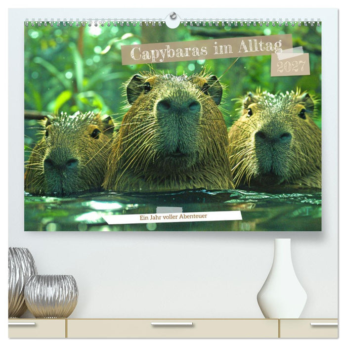 Capybaras im Alltag - Ein Jahr voller Abenteuer (CALVENDO Premium Wandkalender 2027)