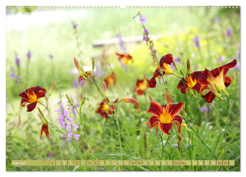 Lys d'un jour (CALVENDO Calendrier mensuel 2027)