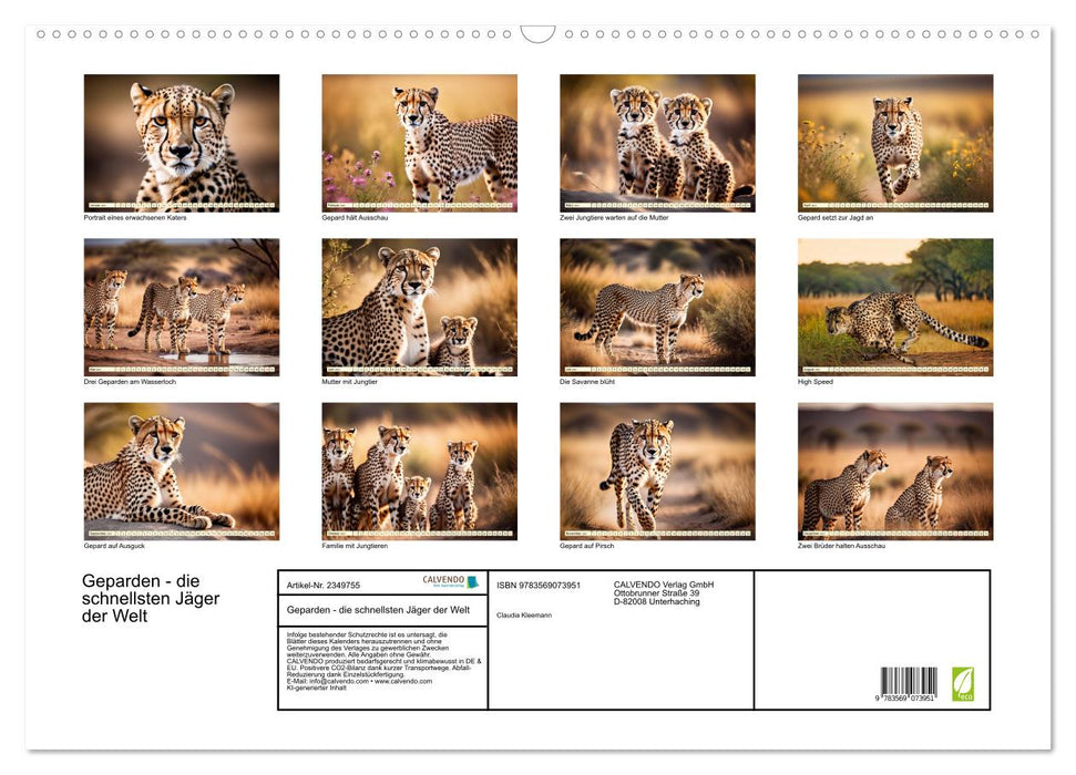 Geparden - die schnellsten Jäger der Welt (CALVENDO Wandkalender 2027)