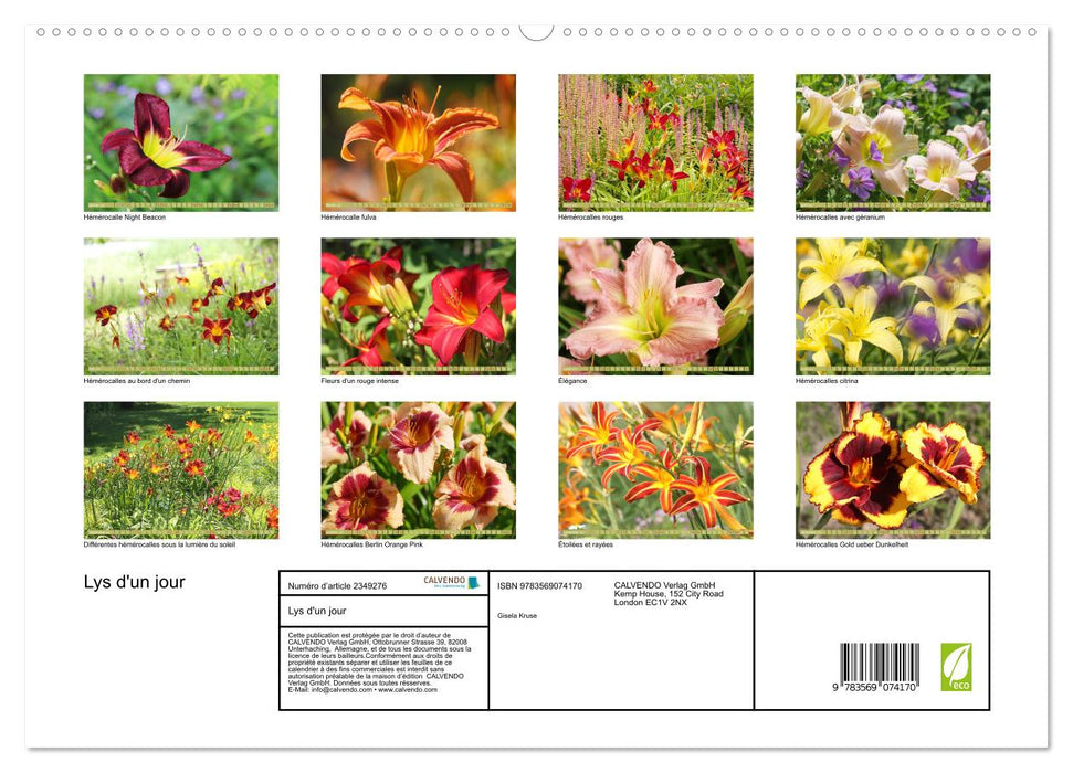 Lys d'un jour (CALVENDO Calendrier supérieur 2027)