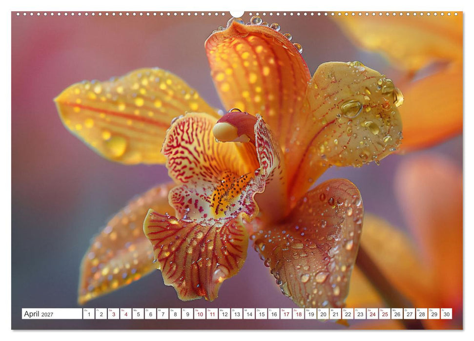 Orchideen - farbenfroh durchs Jahr (CALVENDO Premium Wandkalender 2027)