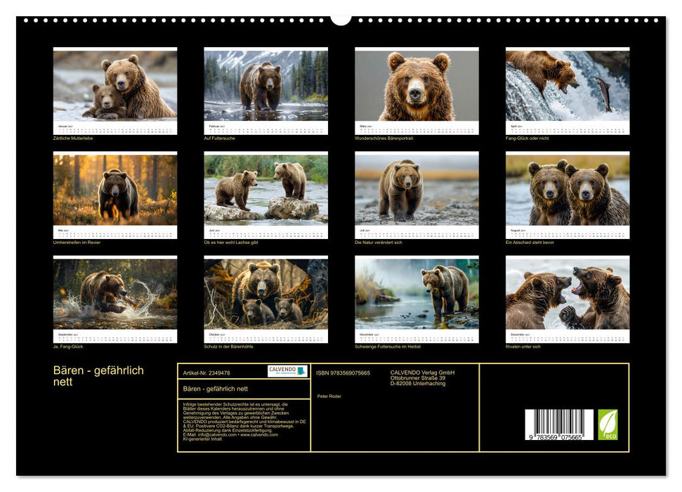 Bären - gefährlich nett (CALVENDO Premium Wandkalender 2027)