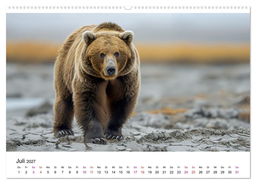 Bären - gefährlich nett (CALVENDO Premium Wandkalender 2027)